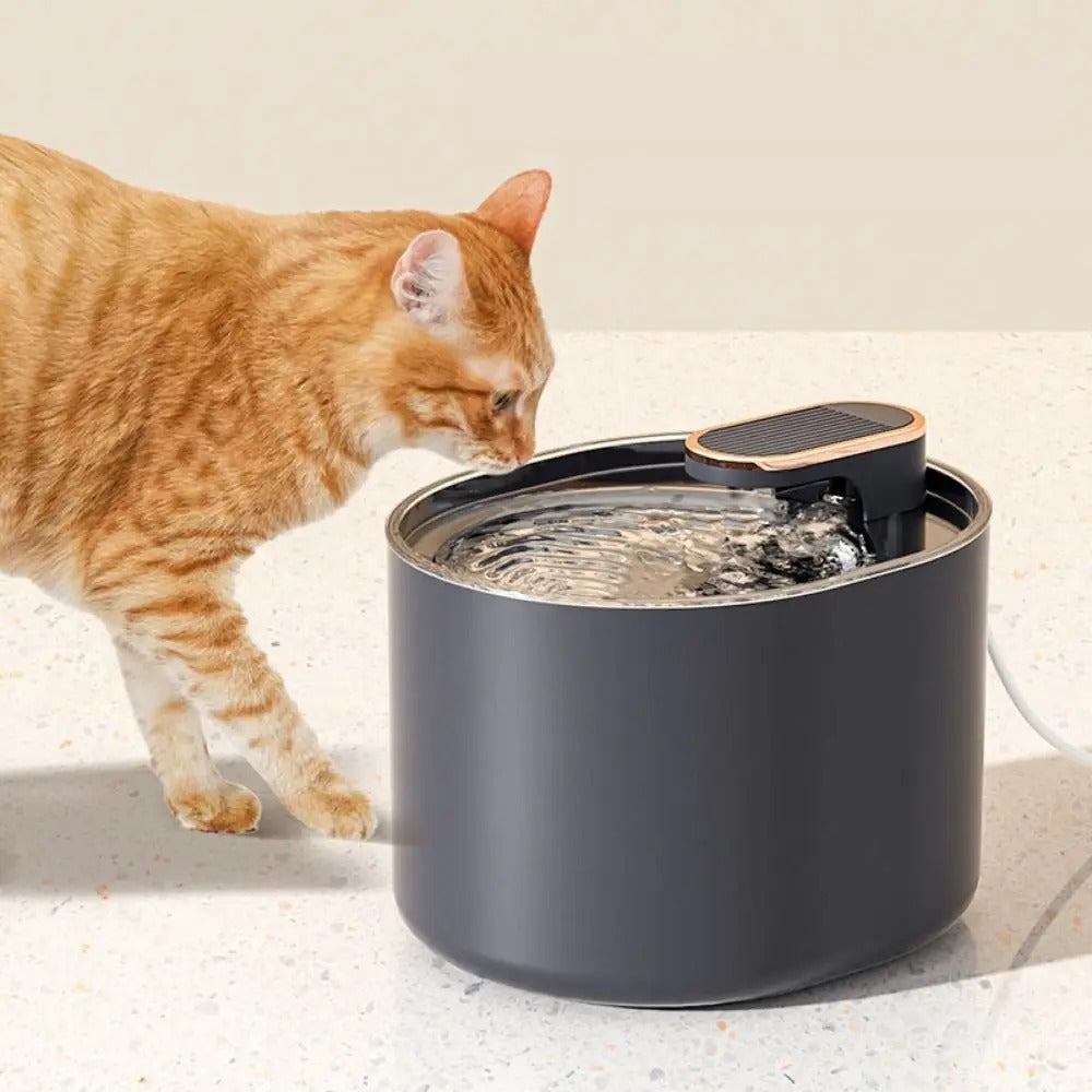 3L Automatic Cat Water Fountain – Large Capacity USB Sensor Pet Drinker