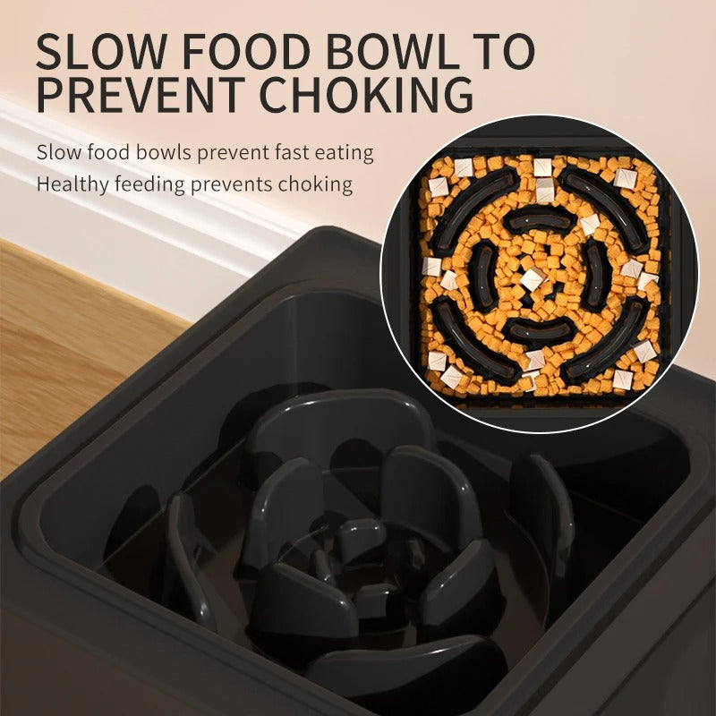 Adjustable Pet Feeding Bowl with Water Container for Dogs & Cats 🐶🐱