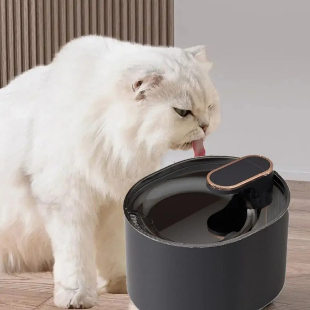 3L Automatic Cat Water Fountain – Large Capacity USB Sensor Pet Drinker