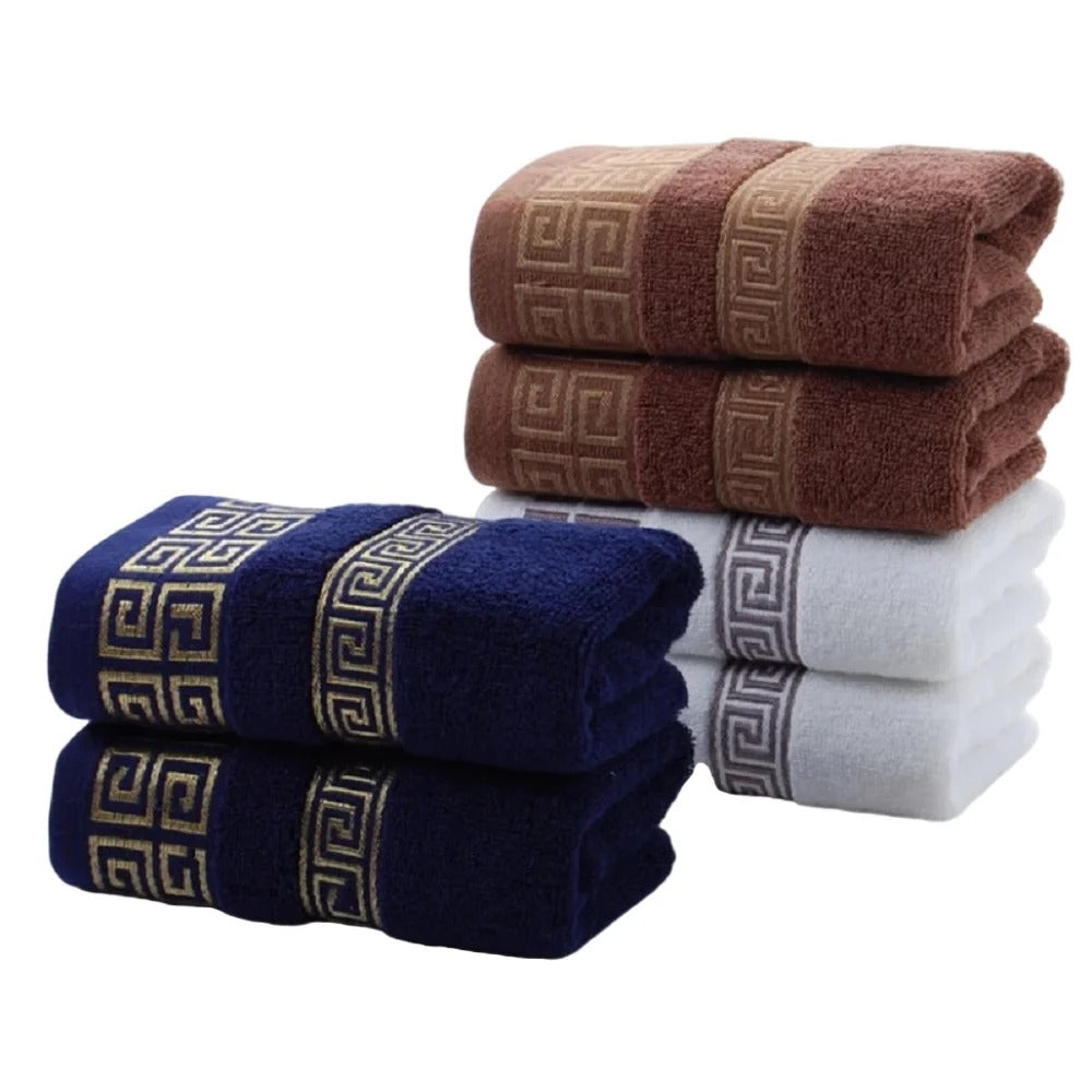 Black Cotton Embroidered Hotel Bath Towels (2pcs, Quick-Dry)